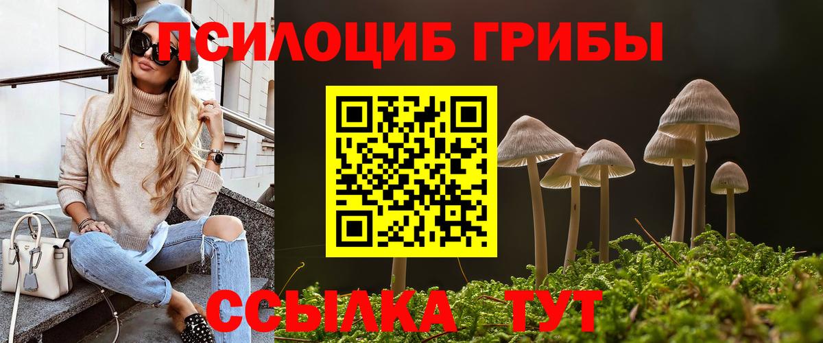 Псилоцибиновые грибы MAGIC MUSHROOMS Алексеевка