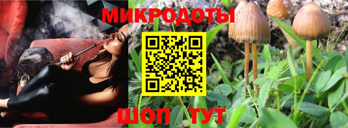 Псилоцибиновые грибы прущие грибы  Вход с VPN  Алексеевка 